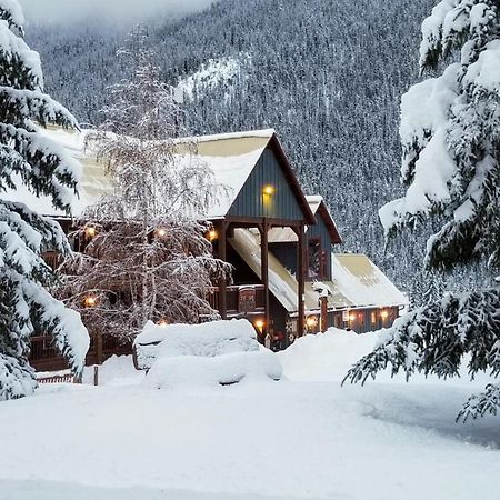Truffle Pigs Lodge Field Exterior photo