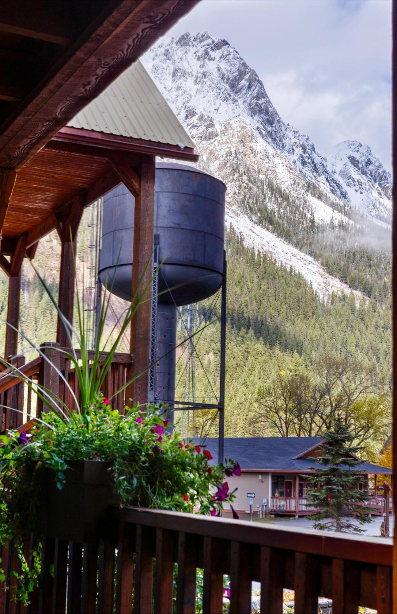 Truffle Pigs Lodge Field Exterior photo